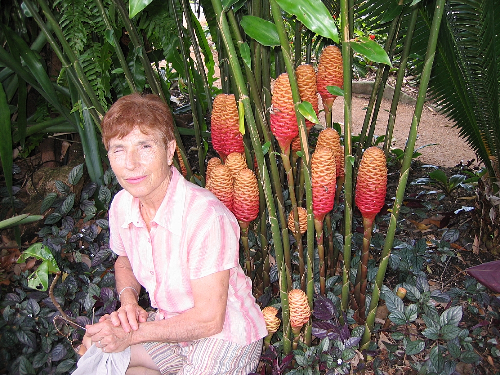 087 Cairns Botanic Gardens.jpg